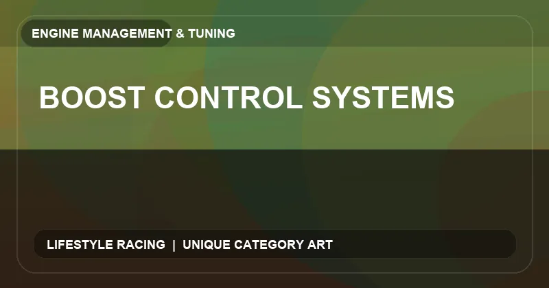 Boost Control Systems